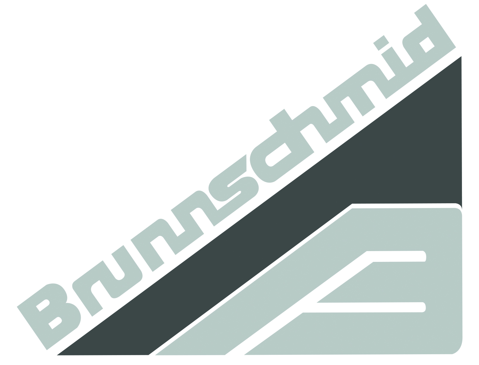 Brunnschmid-Logo-CMYK-300dpi_13cmBreit